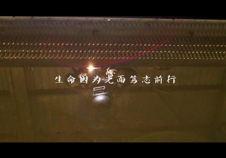 02光.mp4_20230919_154624